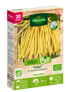 Haricot Fortal - BIO - 20M